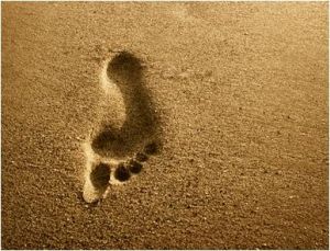 Footprint.jpg