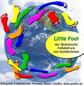 Little-Foot_Logo-Homepage(v2.0).jpg